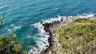相島の高台からの景色。海の色がとても綺麗です。