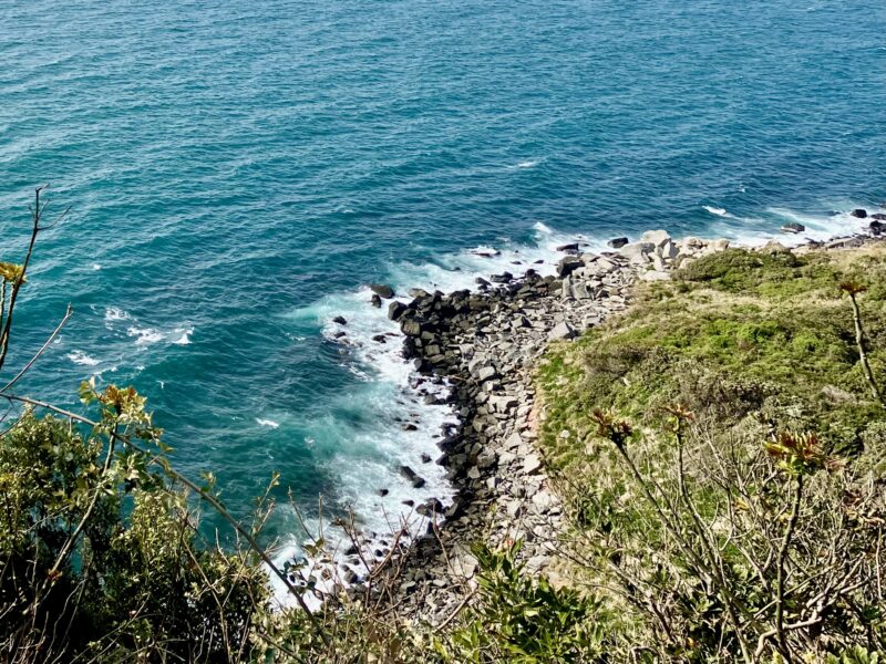 相島の高台からの景色。海の色がとても綺麗です。