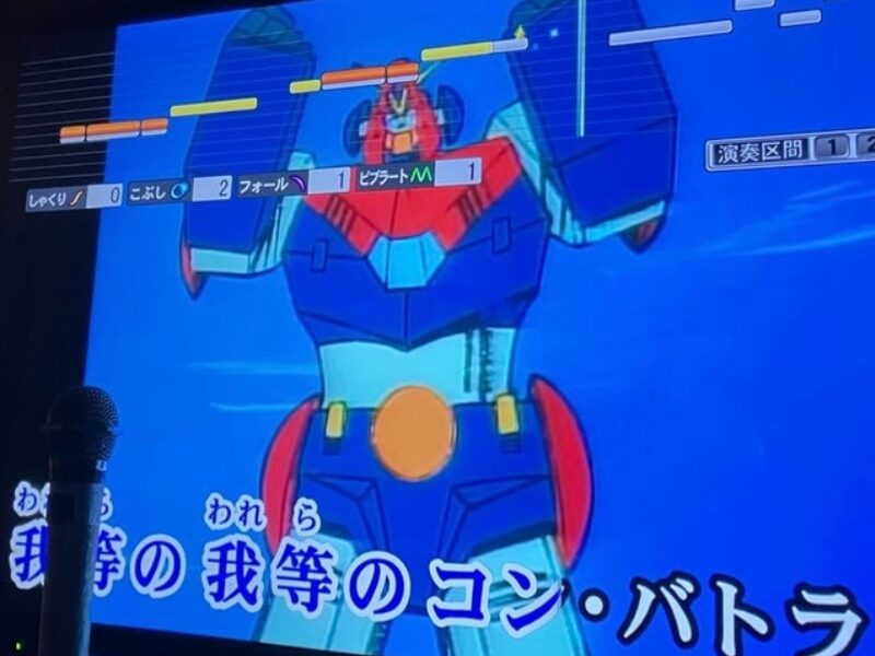 ひとりだからこそ、好きなアニソンだって平気で歌えます。