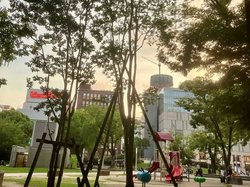 ある夏の夕方近くの警固公園の風景