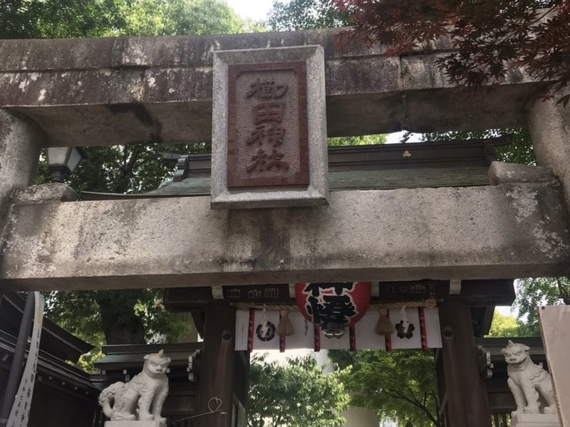 この鳥居を抜けると鮮やかな風景が広がります。