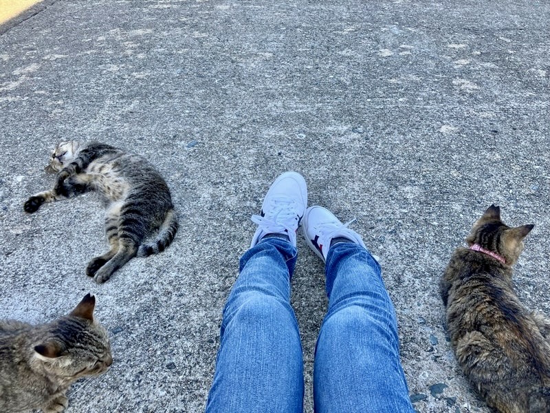 相島に行く時はスニーカー必須。動きやすく、歩きやすいスタイルがベター。