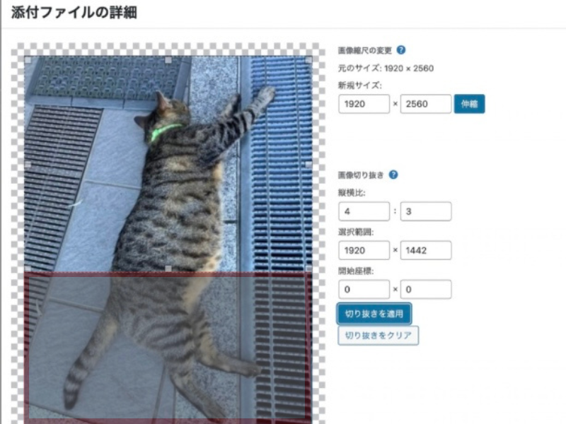 WordPress スクリーンショットの加工画面