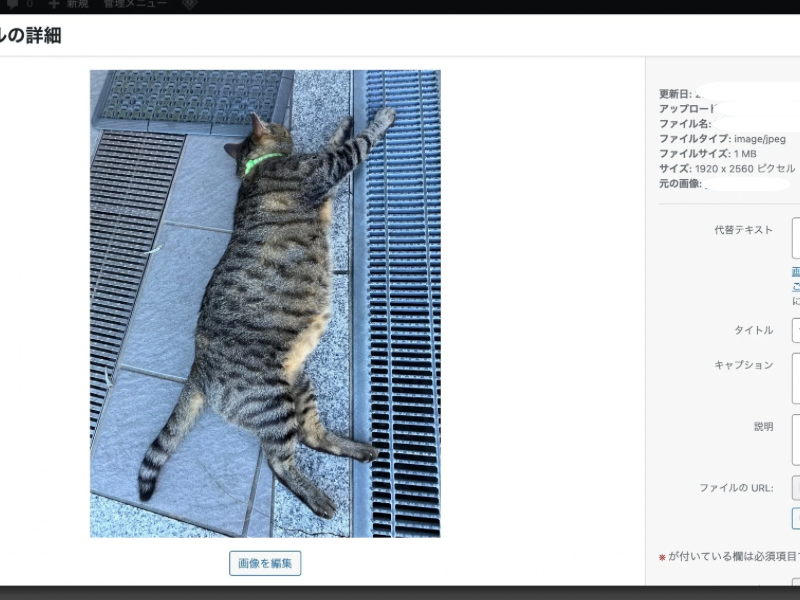 WordPress スクリーンショットの加工前