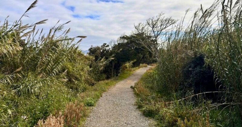 朝の静かな相島積石塚群の散策風景