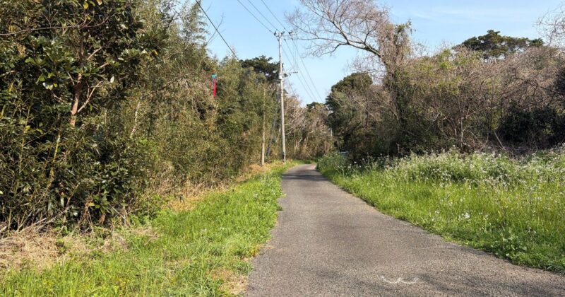 【福岡・相島】遠見板書跡に向かう道