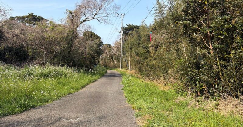 【福岡・相島】遠見板書跡に向かう道