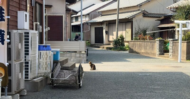 【福岡・相島】路地裏の風景