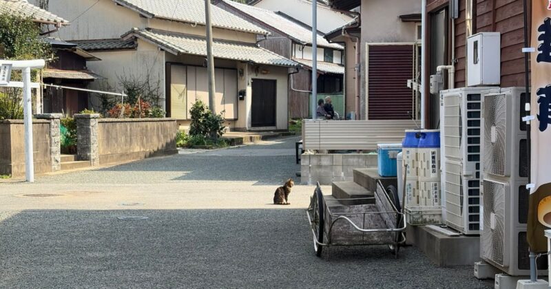 【福岡・相島】路地裏の風景