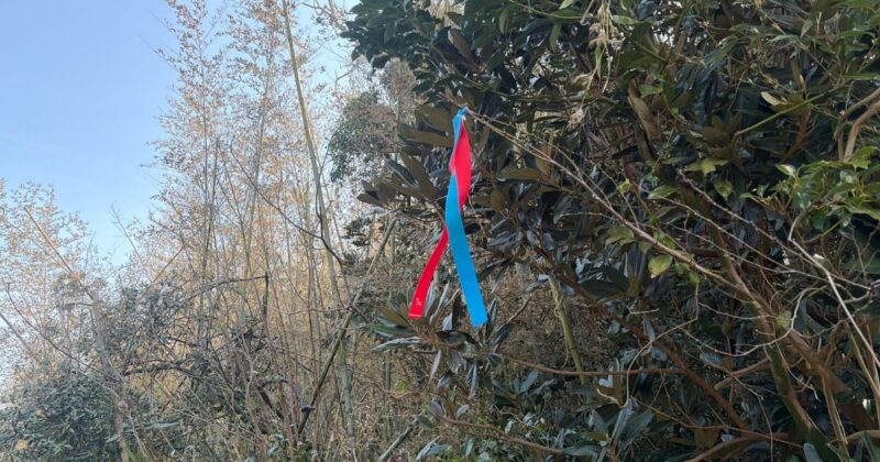 【福岡・相島】目印のリボン