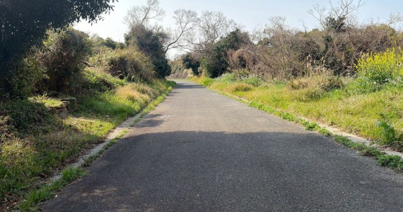 【福岡・相島】遠見番台跡に向かう途中の道