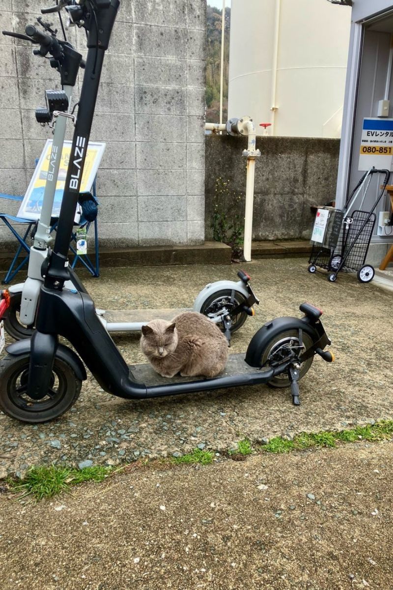 【福岡・相島】レンタルキックボードの受付所