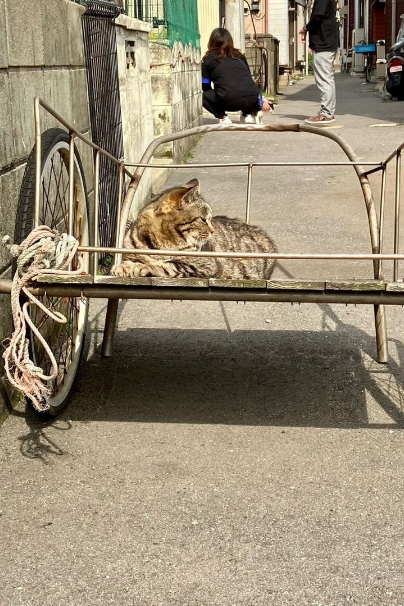 【福岡・相島】相島漁港の路地裏。2023年撮影