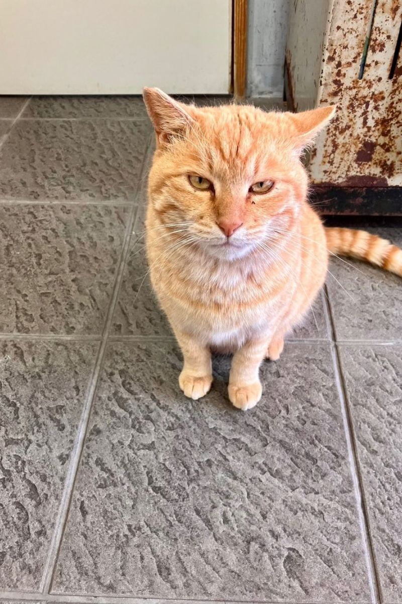 【福岡・相島】新宮漁港の待合室の様子。2023年撮影