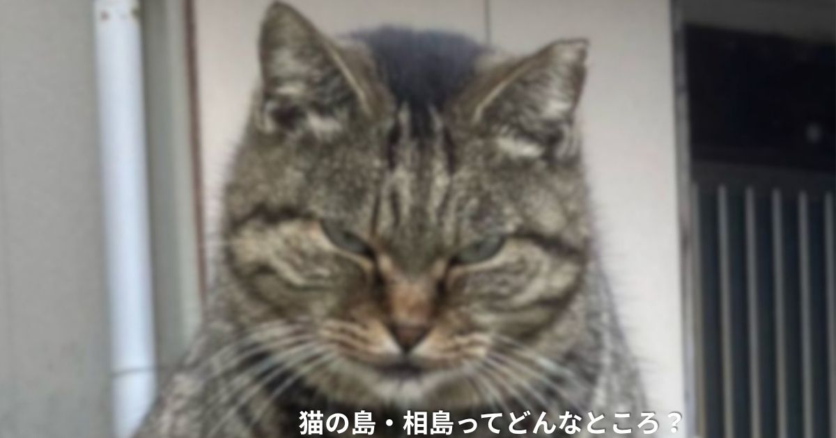 相島ガイドアイキャッチ用