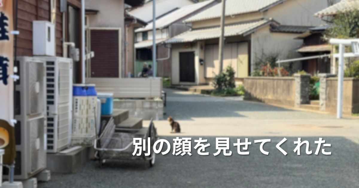 【福岡・相島】相島漁港、朝の様子アイキャッチ用