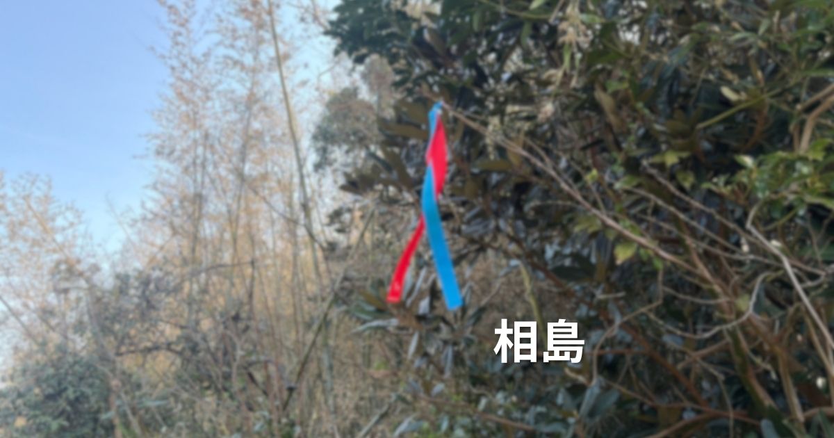 【福岡・相島】散策目印リボン　アイキャッチ用