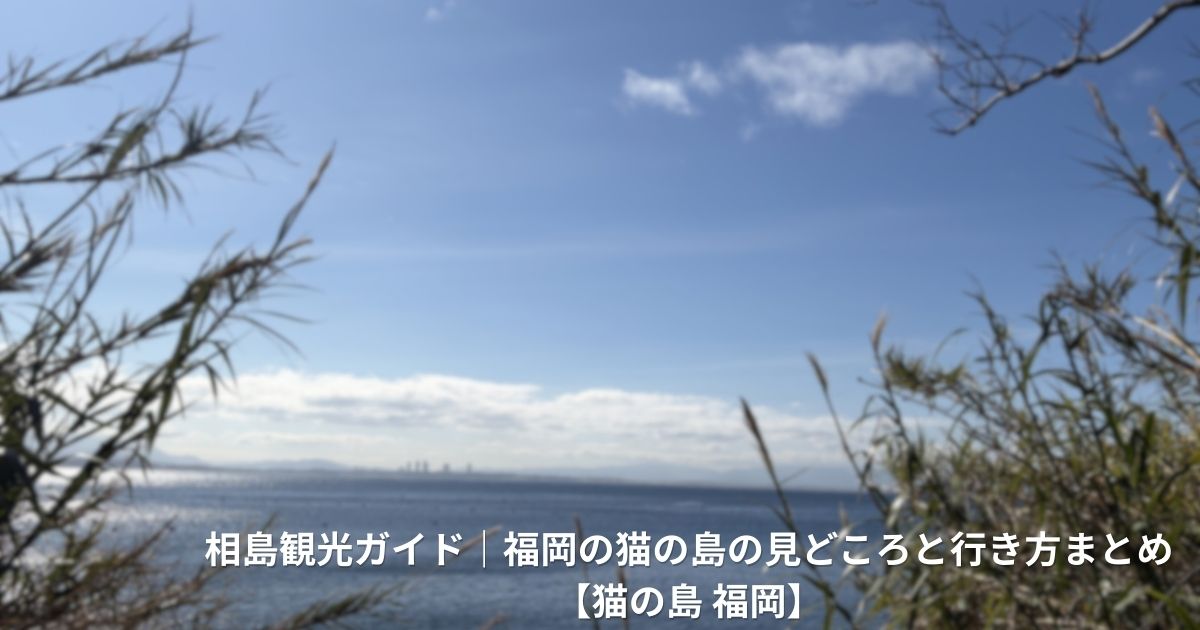 猫の島相島・福岡県アイキャッチ画像