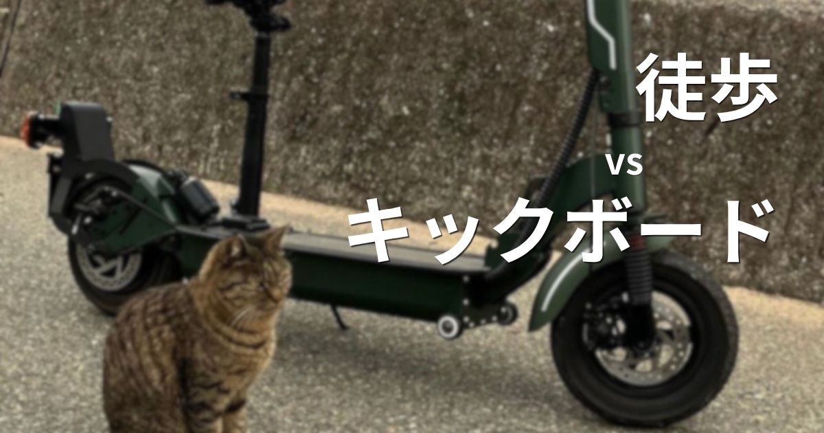 【福岡・相島】島の防波堤と猫　アイキャッチ用