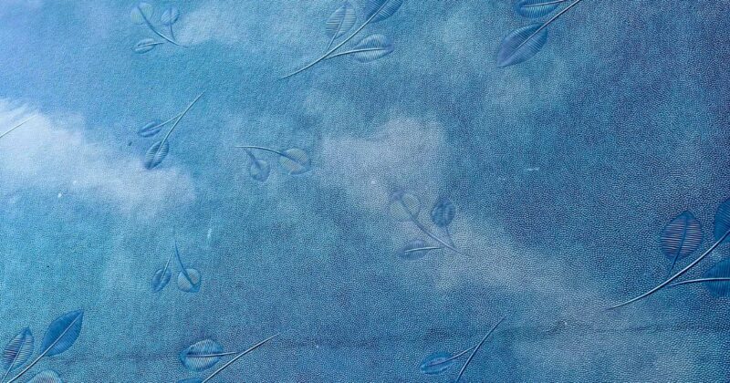 昭和ガラス、「みどり」