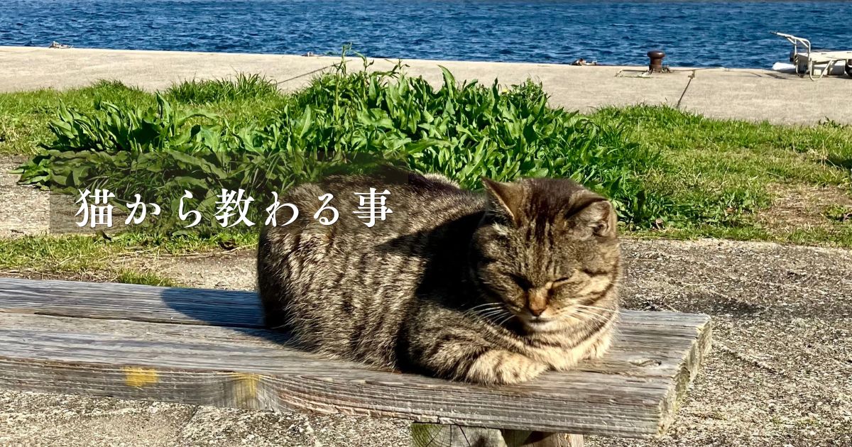 50代ソロ活おばさんアイキャッチ用