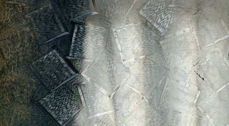 昭和　型板ガラス「かるた」202604使用