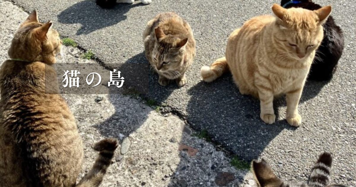 相島ガイドアイキャッチ用