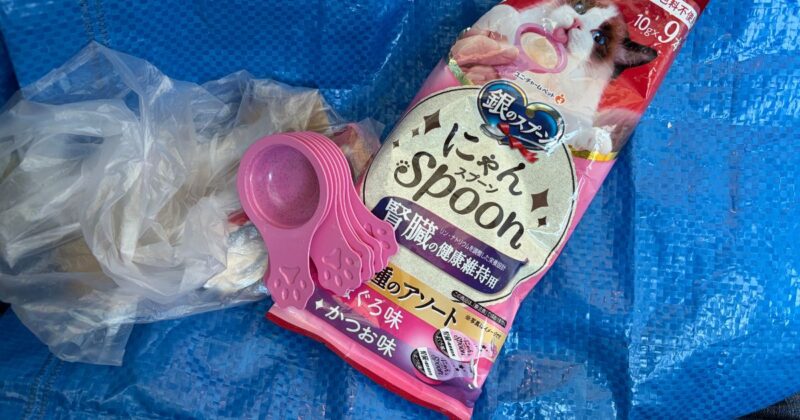 【福岡県　相島（猫島）2026年6月撮影】洗ってないのにこんなにキレイなにゃんスプーン。